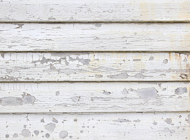 Hudson, FL Junk Removal Company